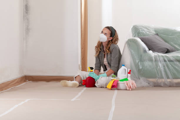 Reliable Mold Remediation contractor in Florence, TX by WQB Mold Removal